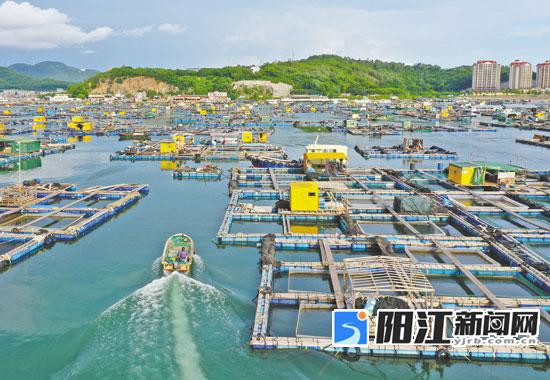 阳江海陵岛马拉松_2021阳江海陵岛马拉松比赛_2020阳江海陵岛马拉松