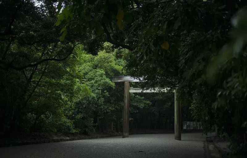 日本名古屋女子马拉松奖牌_日本名古屋马拉松_日本马拉松知乎